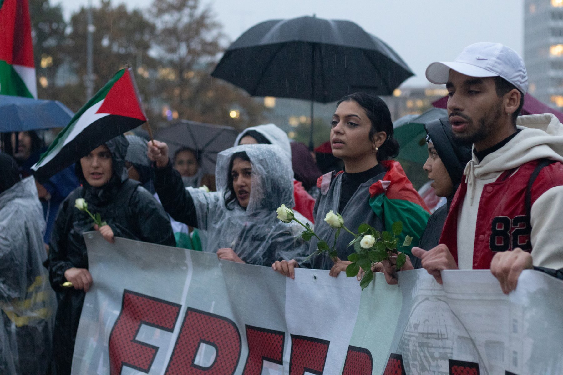 Rassemblement pacifique pour la Palestine : solidarité et appel à la paix à Genève