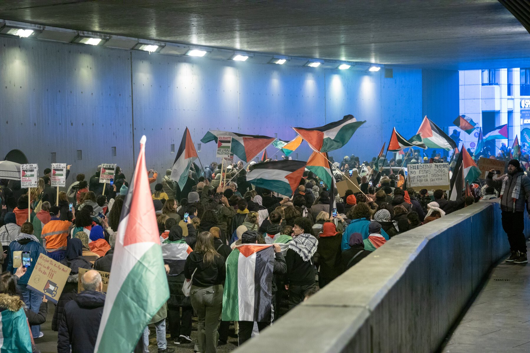 Manifestation Stop au Génocide à Gaza : 18 novembre 2023 – Un Appel Mondial à la Justice