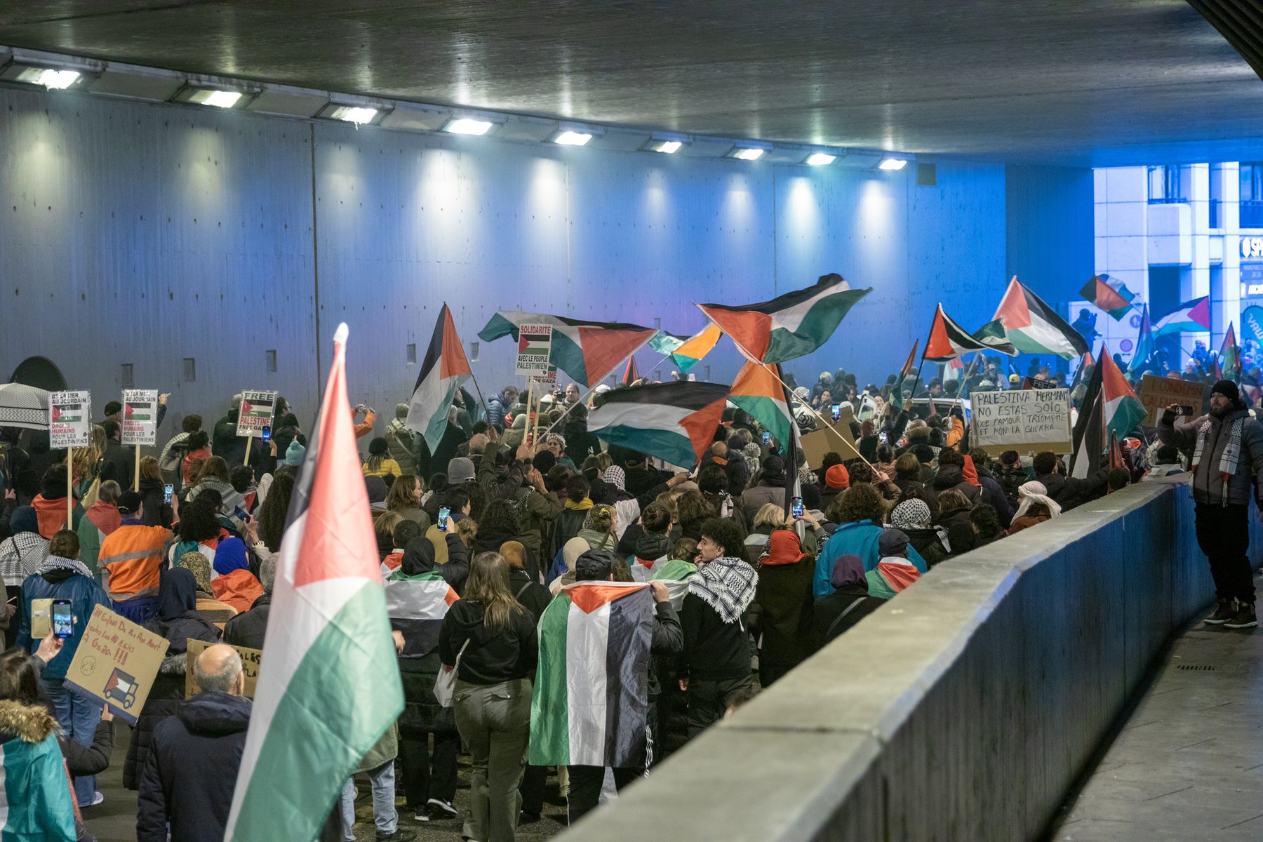 Manifestation Stop au Génocide à Gaza : 18 novembre 2023 – Un Appel Mondial à la Justice
