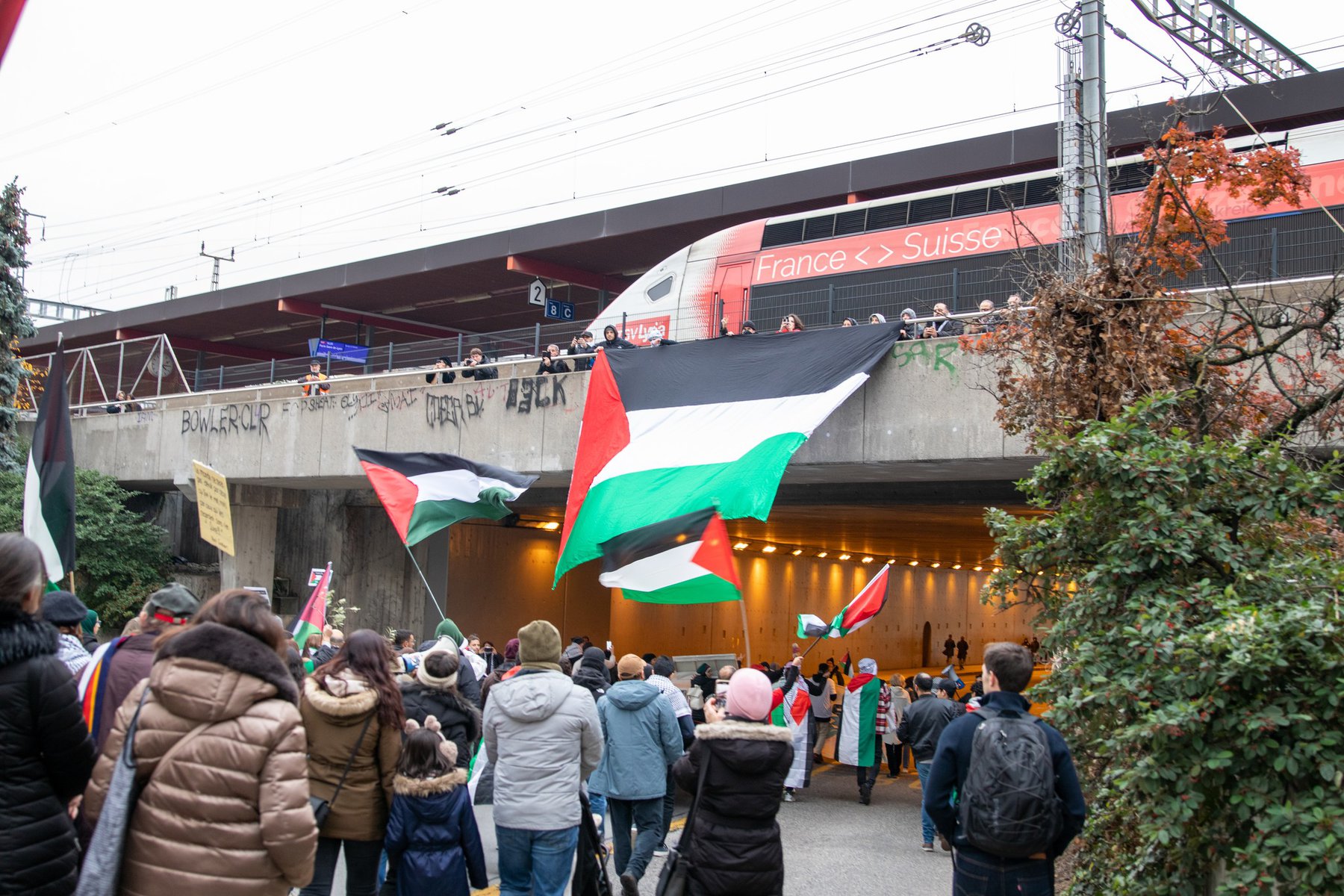 Manifestation Stop au Génocide à Gaza : 18 novembre 2023 – Un Appel Mondial à la Justice