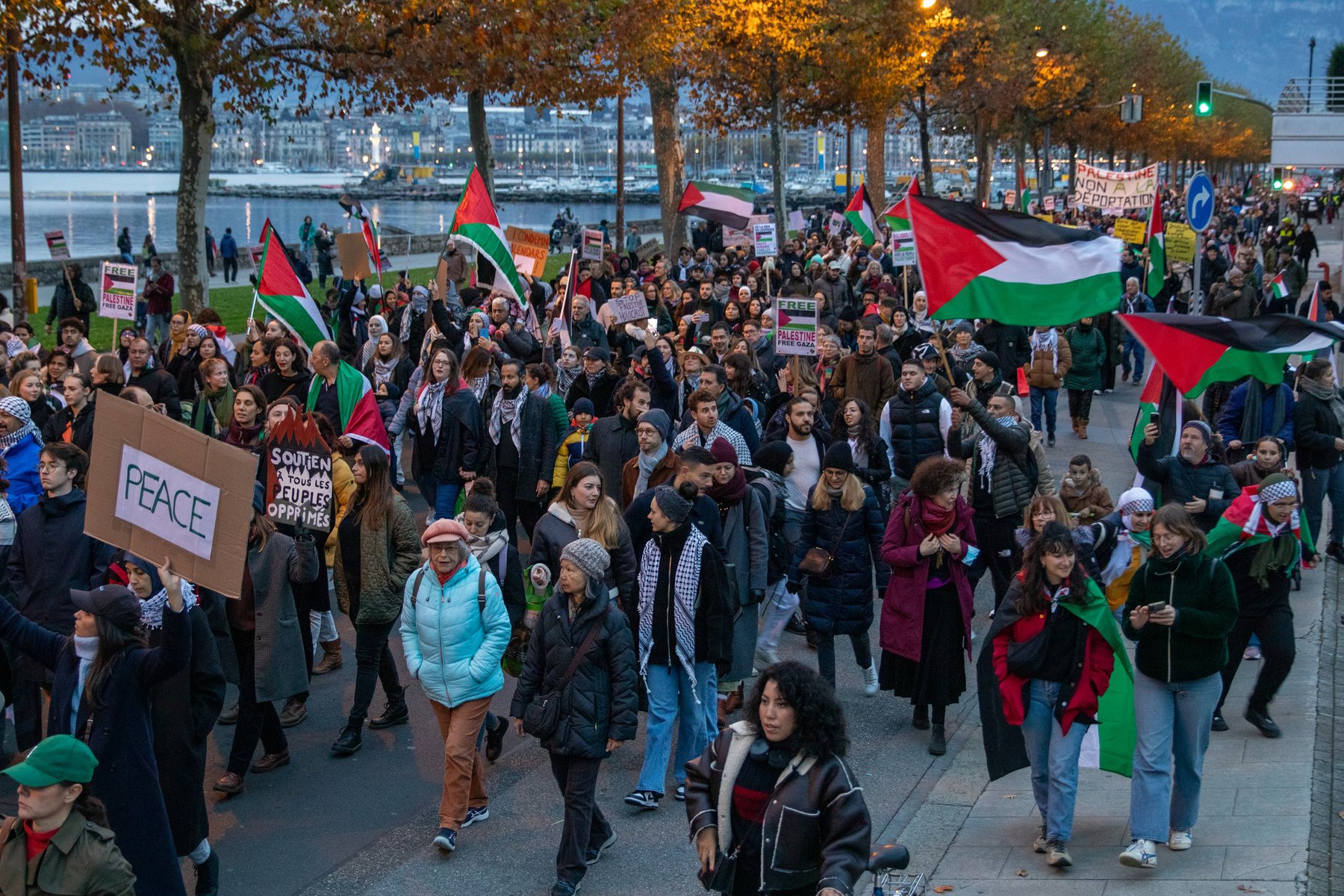 Manifestation Stop au Génocide à Gaza : 18 novembre 2023 – Un Appel Mondial à la Justice
