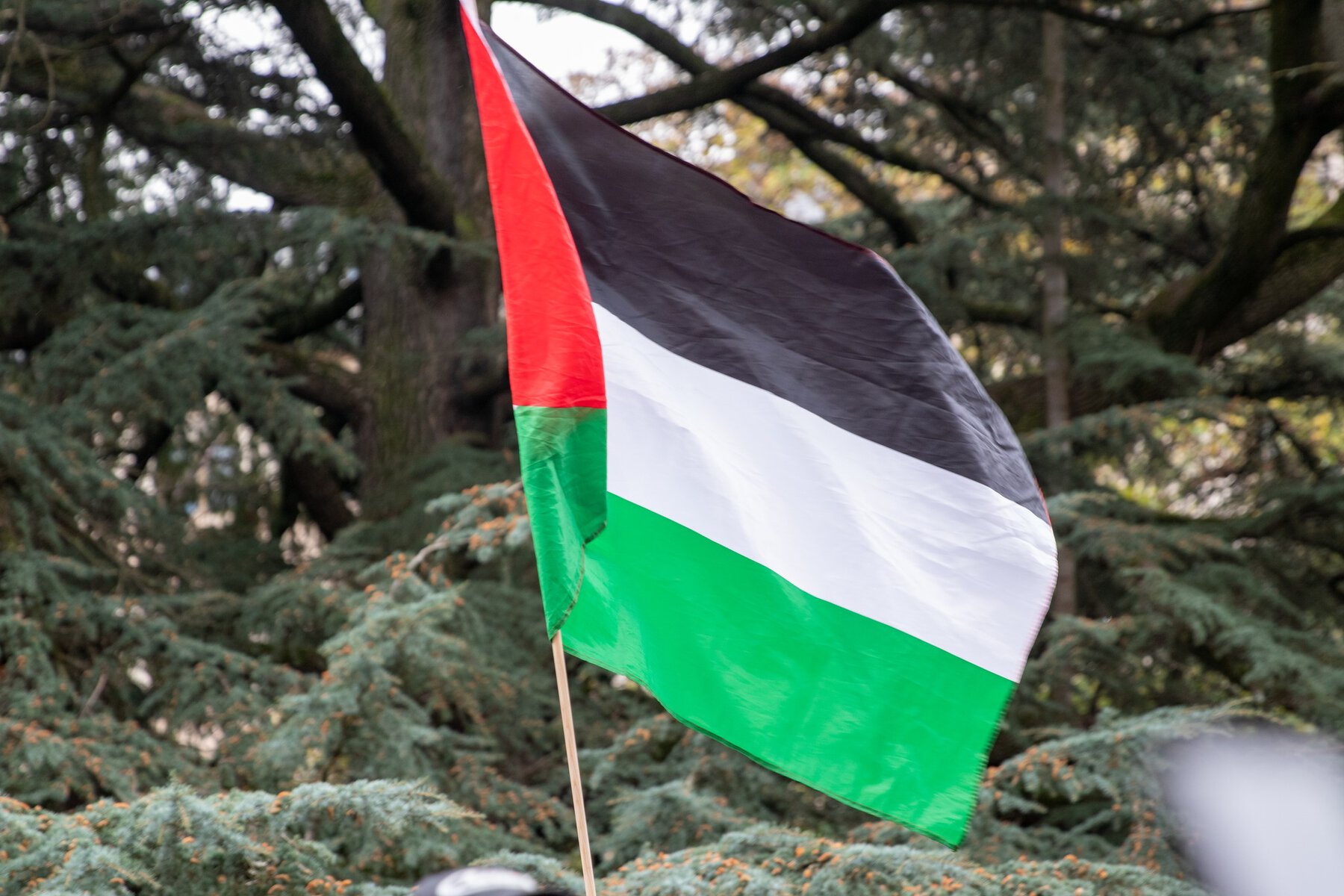 Manifestation Stop au Génocide à Gaza : 18 novembre 2023 – Un Appel Mondial à la Justice